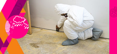 Mold & Flood Damages Restoration